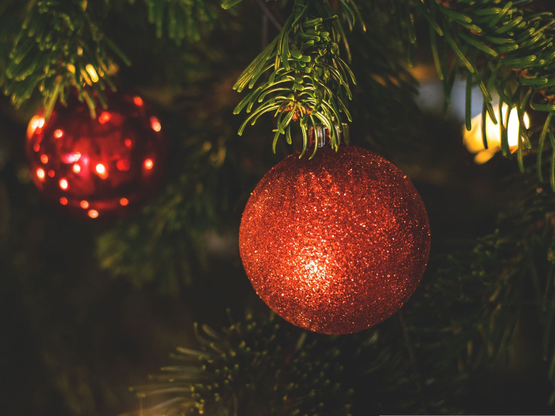 Quel est le Meilleur Sapin de Noël au Québec?