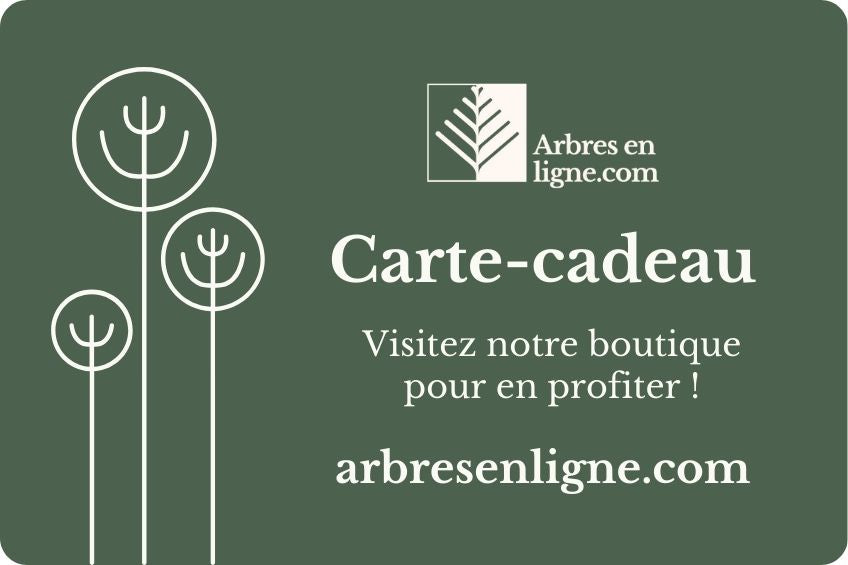 La carte cadeau Arbresenligne.com