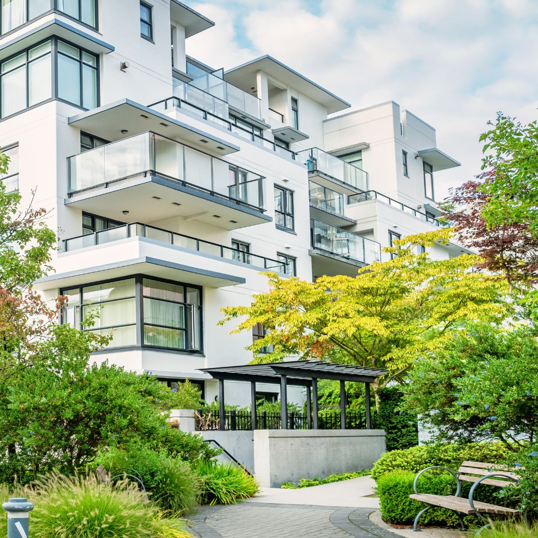 Petits arbres pour les immeubles condo