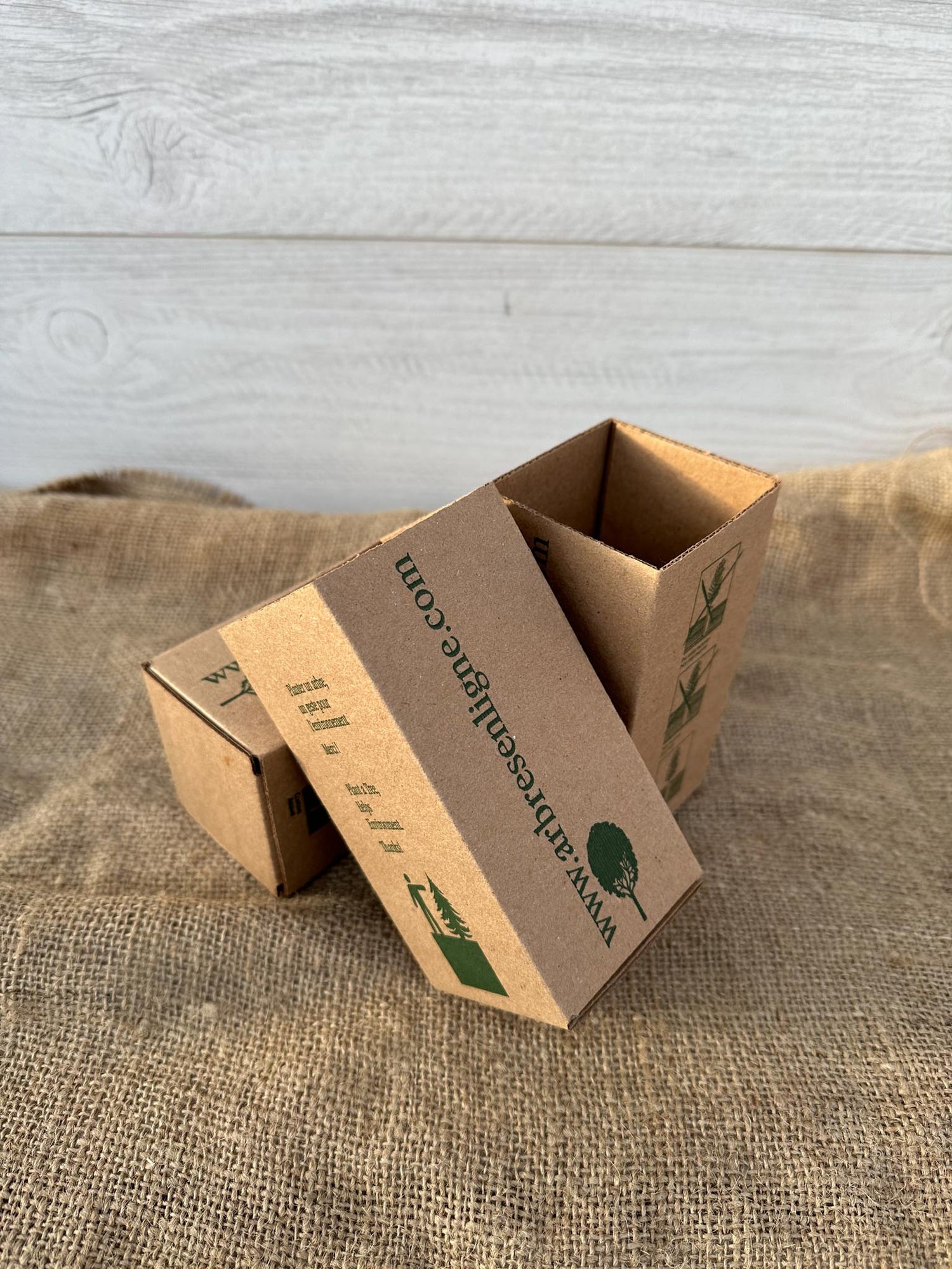 Grande boite en carton pour offrir un arbre en cadeau