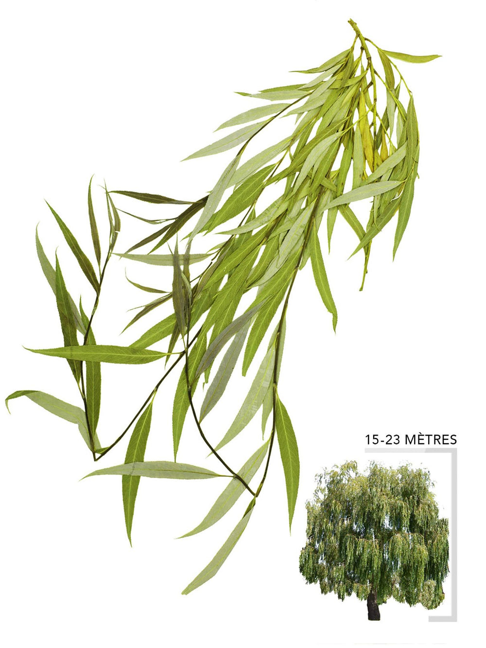 Eckige Saule Verkleiden